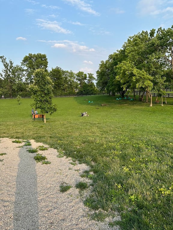 Legacy Dog Park