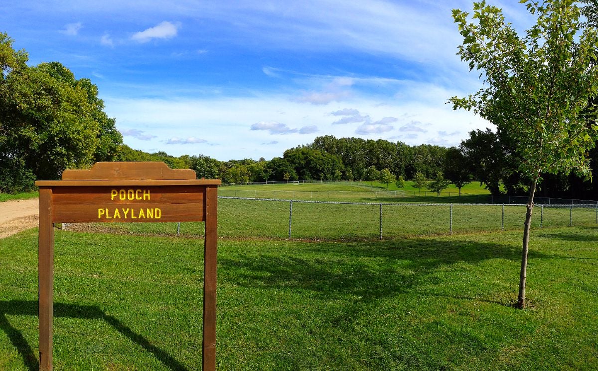 Pooch Playland