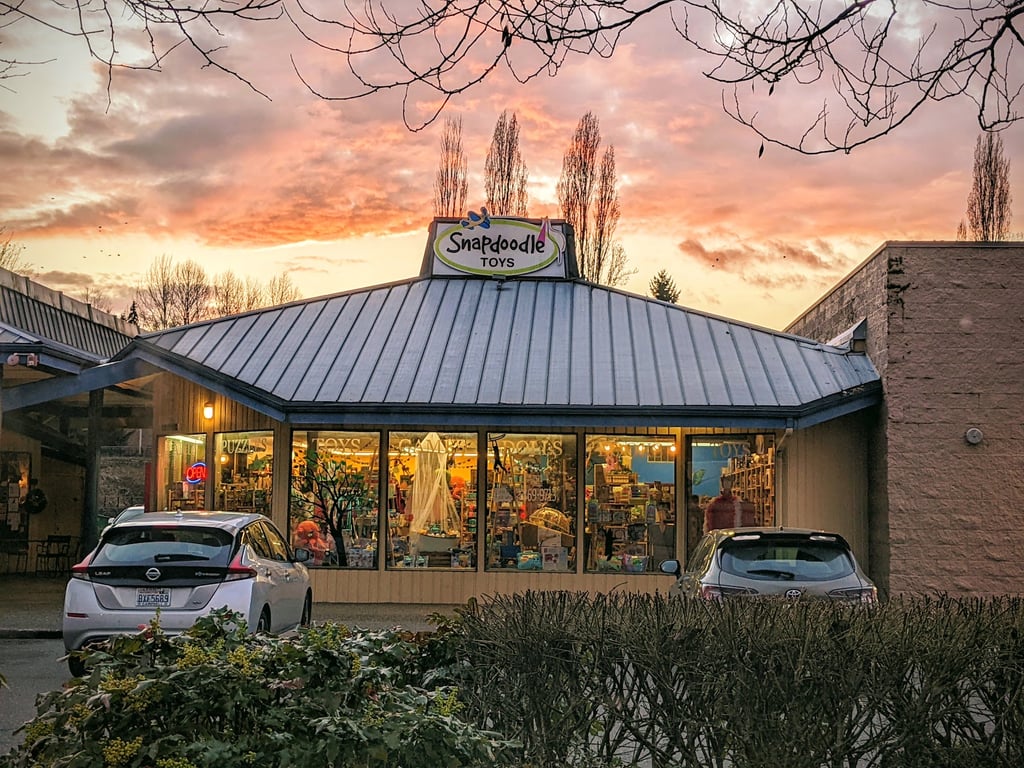 Snapdoodle Toys & Games
