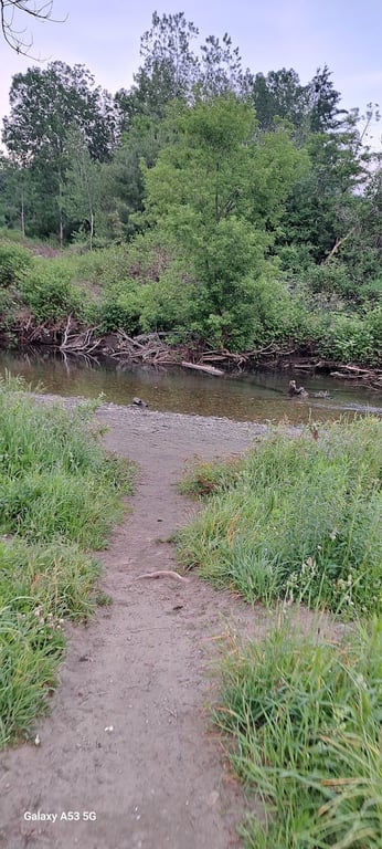 Dog River Park