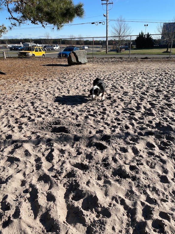 Ocean County Off Leash Dog Area