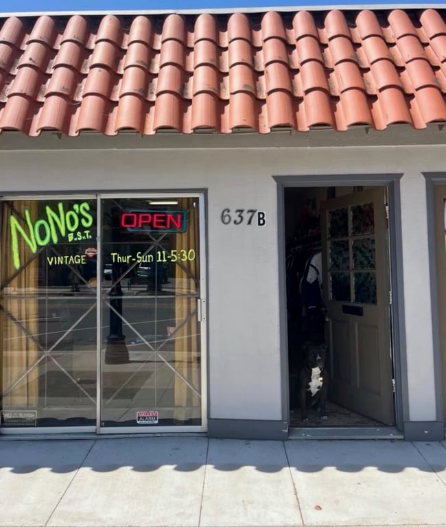 Nono’s B.S.T.