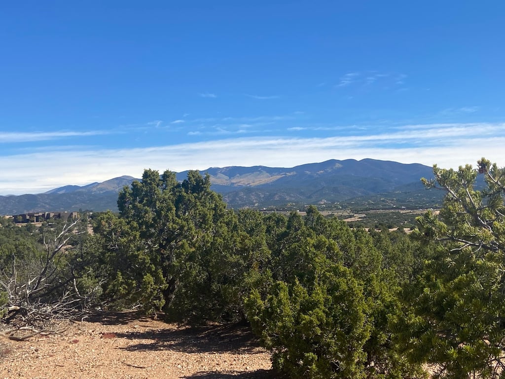Dog park Ridge Top