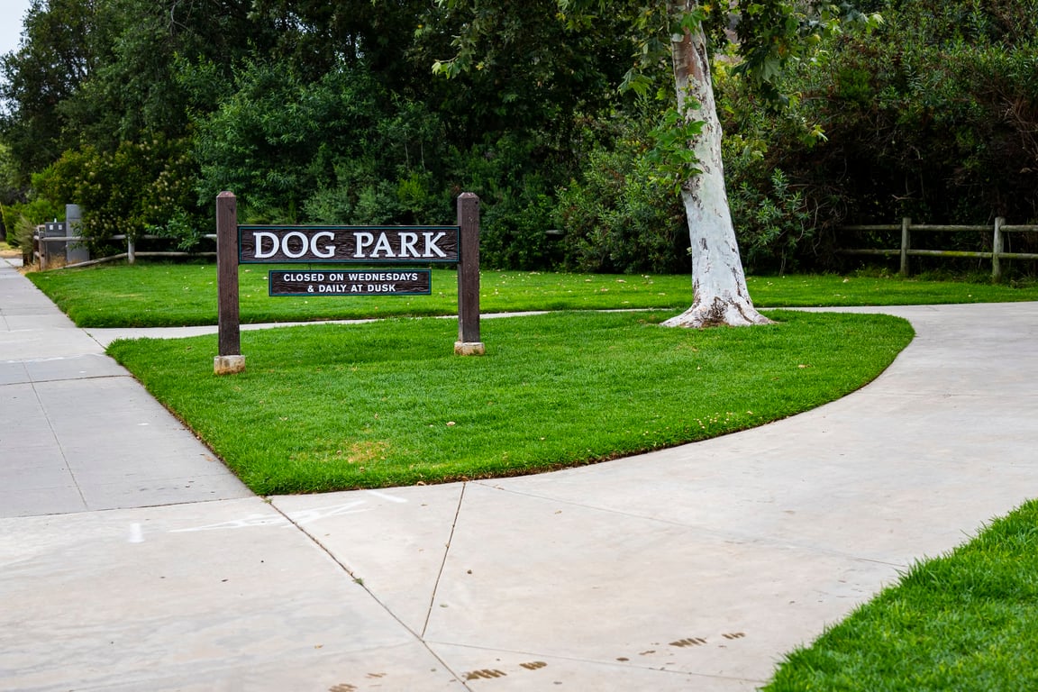 Laguna Beach Dog Park