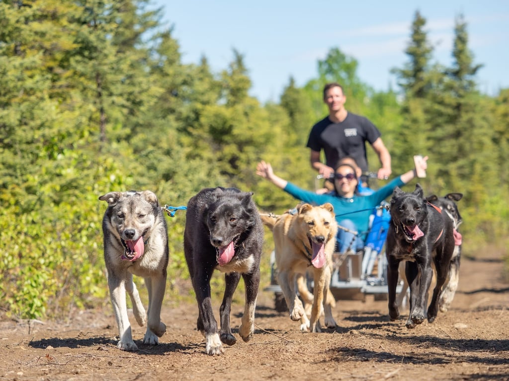 Alaskan Husky Adventures