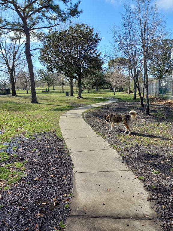 Lafreniere Dog park