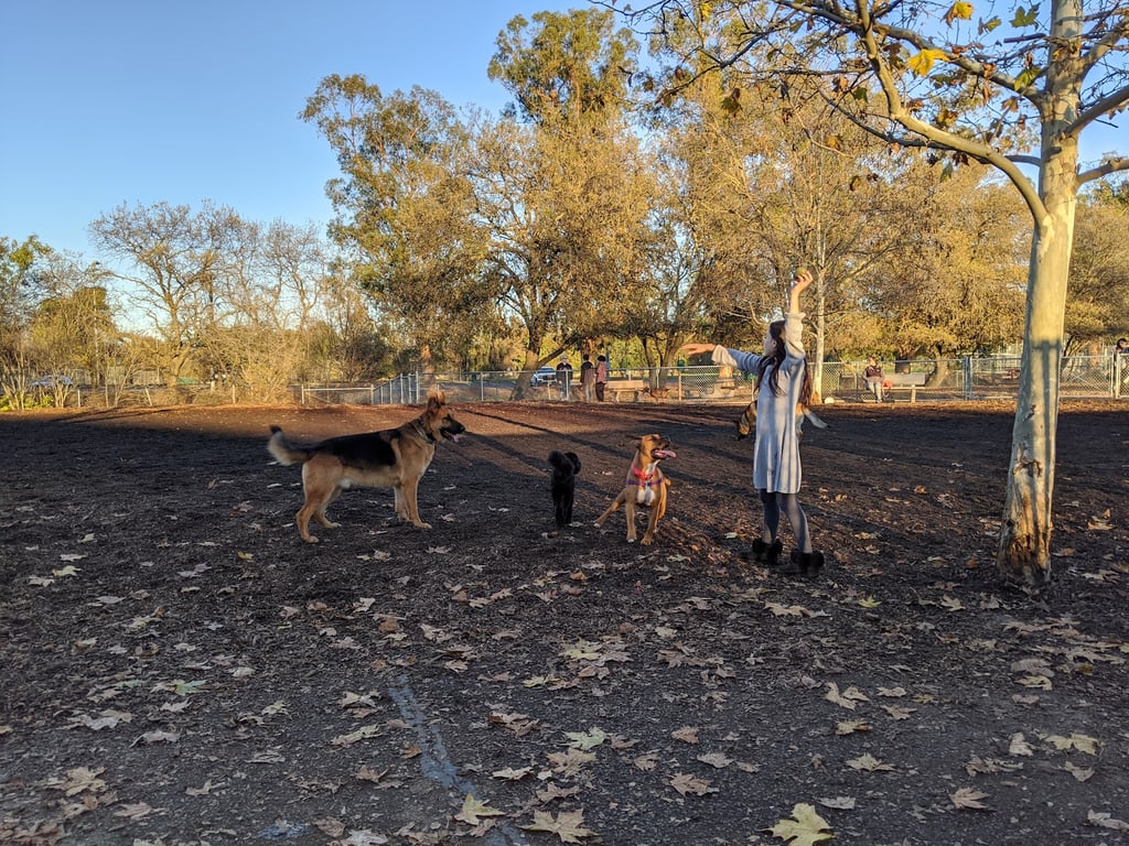 Heather Farm Dog Park