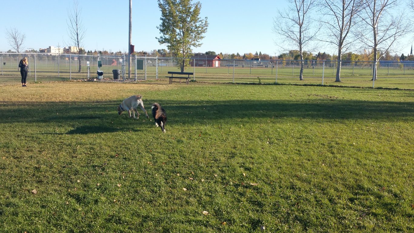 Ruger Dog Park