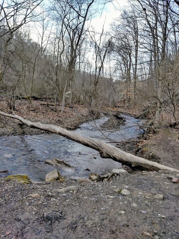 Riding Meadow Park