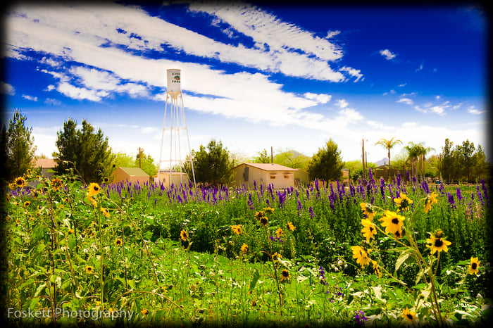 Photo of Schnepf Farms