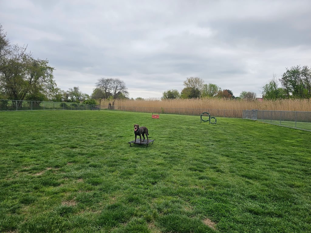 Little Creek Dog Park