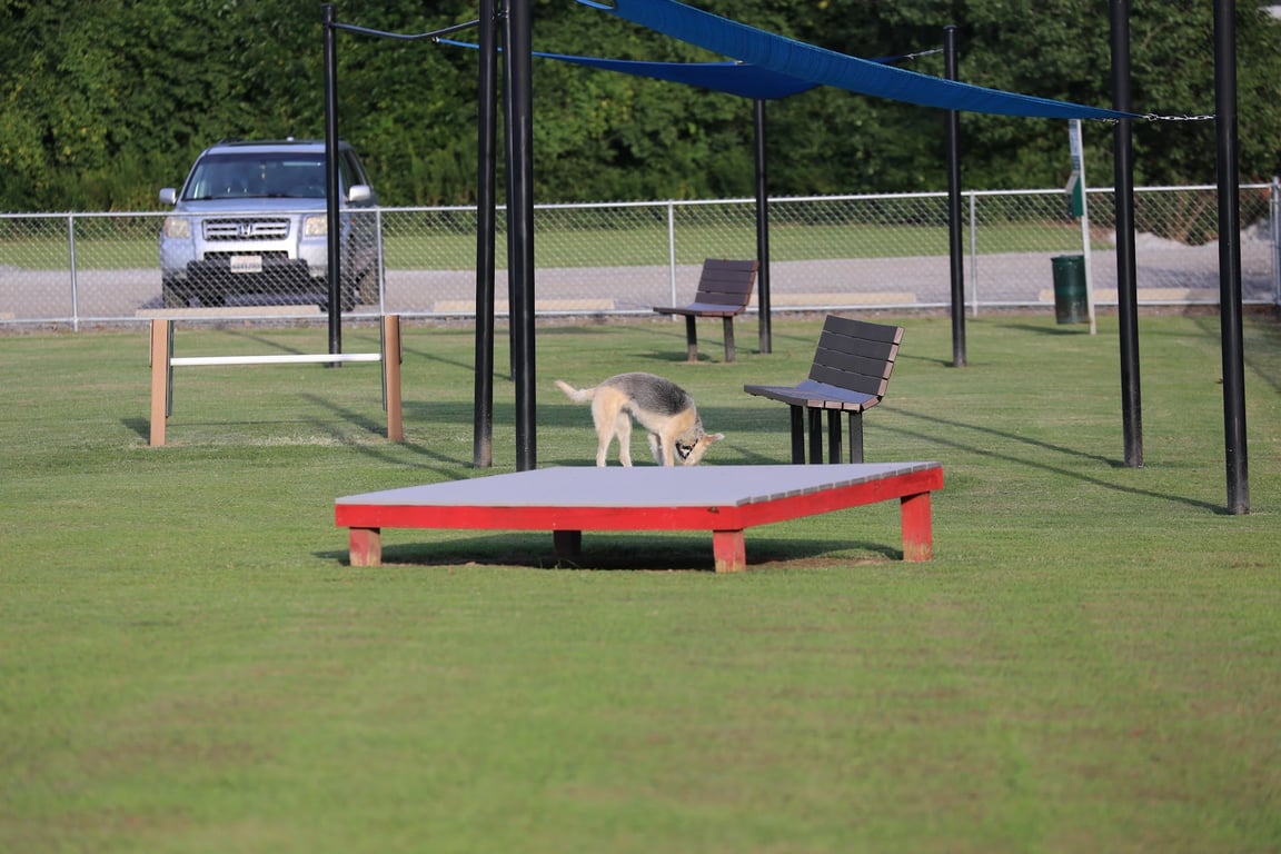 Blake’s Bark Park
