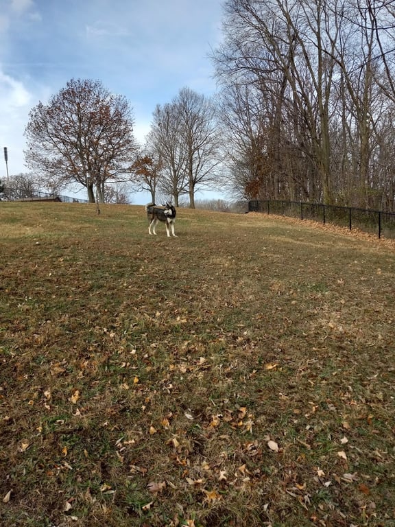 Eureka Dog Park