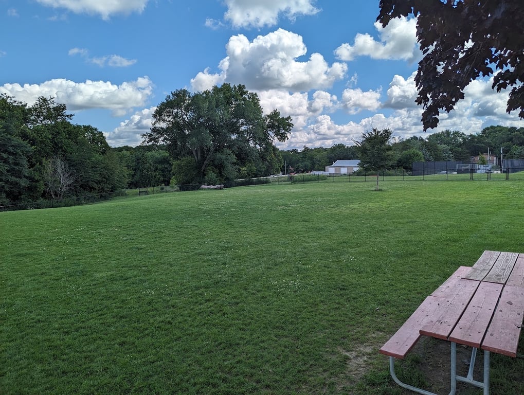 Dog Park