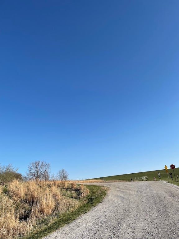 Chalco Hills Dog Exercise Area