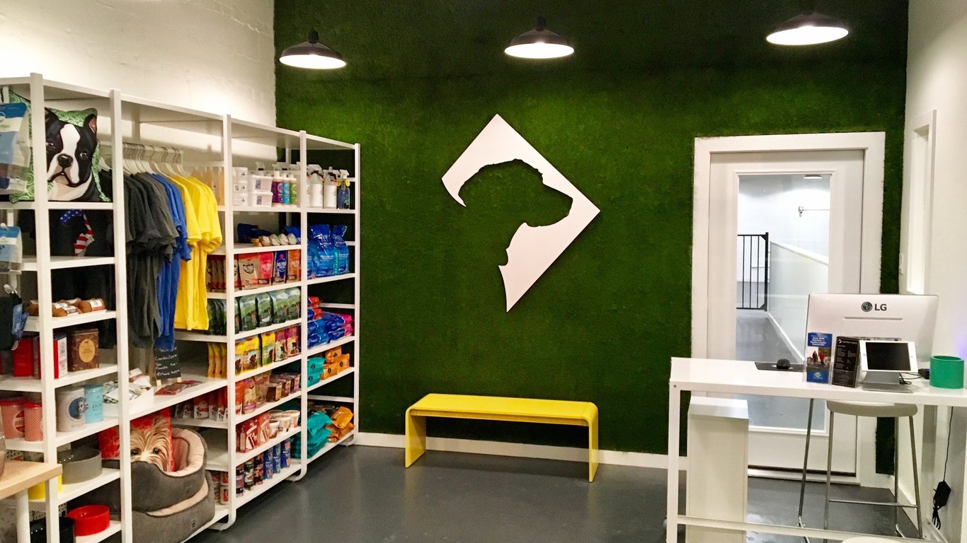 District Dogs Park View – Daycare & Boarding