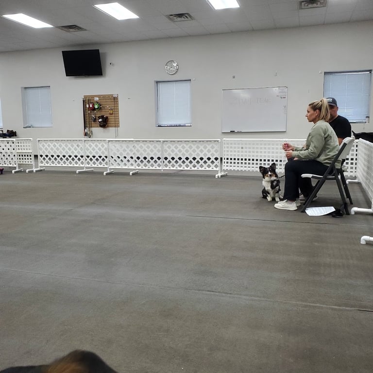 On The Run Canine Center
