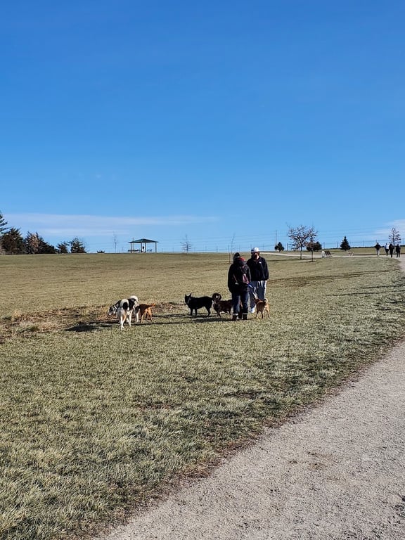 K9 Acres Off-Leash Area