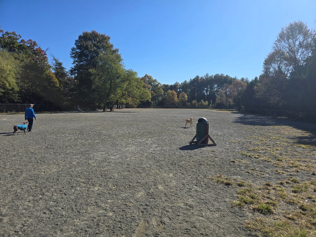 Mason District Off-Leash Dog Park