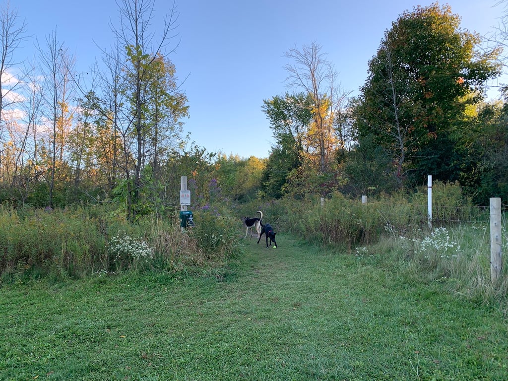 Homestead Howl Dog Park