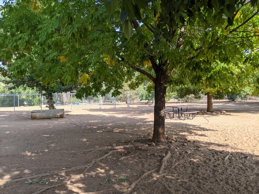 Bark Park