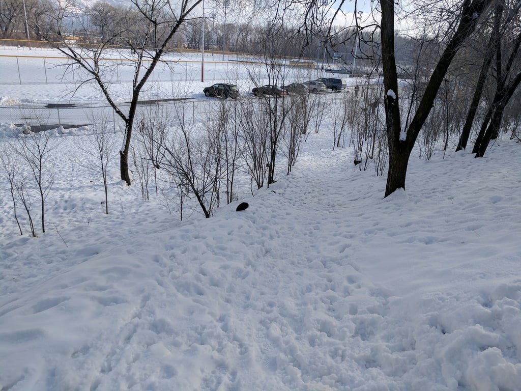 Ogden City Dog Park
