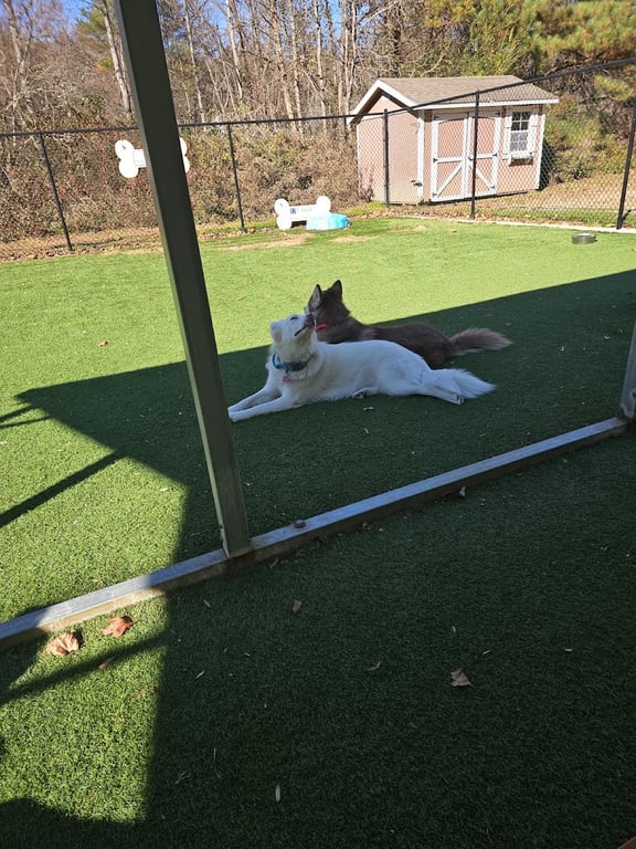 The Haven Off Leash Dog Park