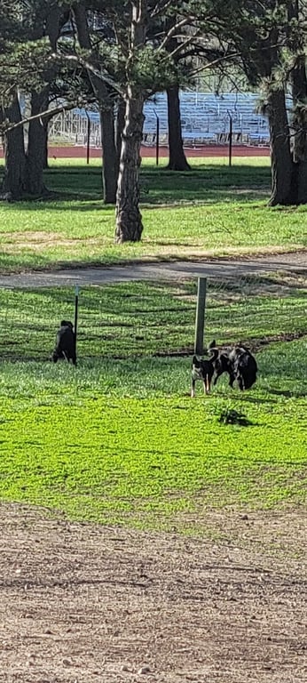 Cico Dog Park