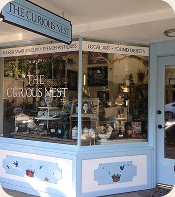 The Curious Nest