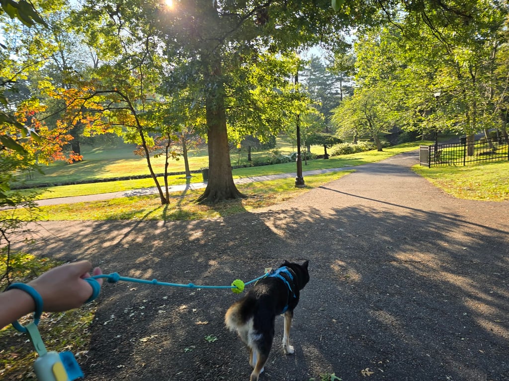 Brookdale Dog Park