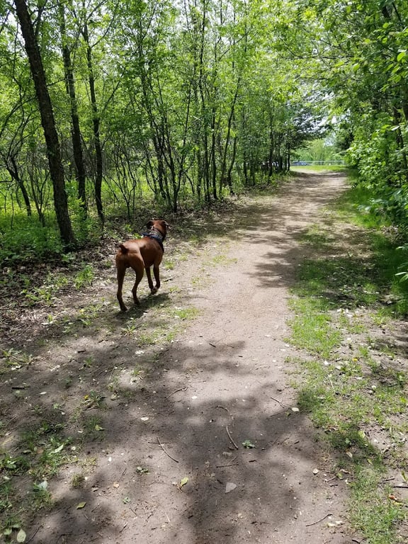Cleary Lake Dog Park