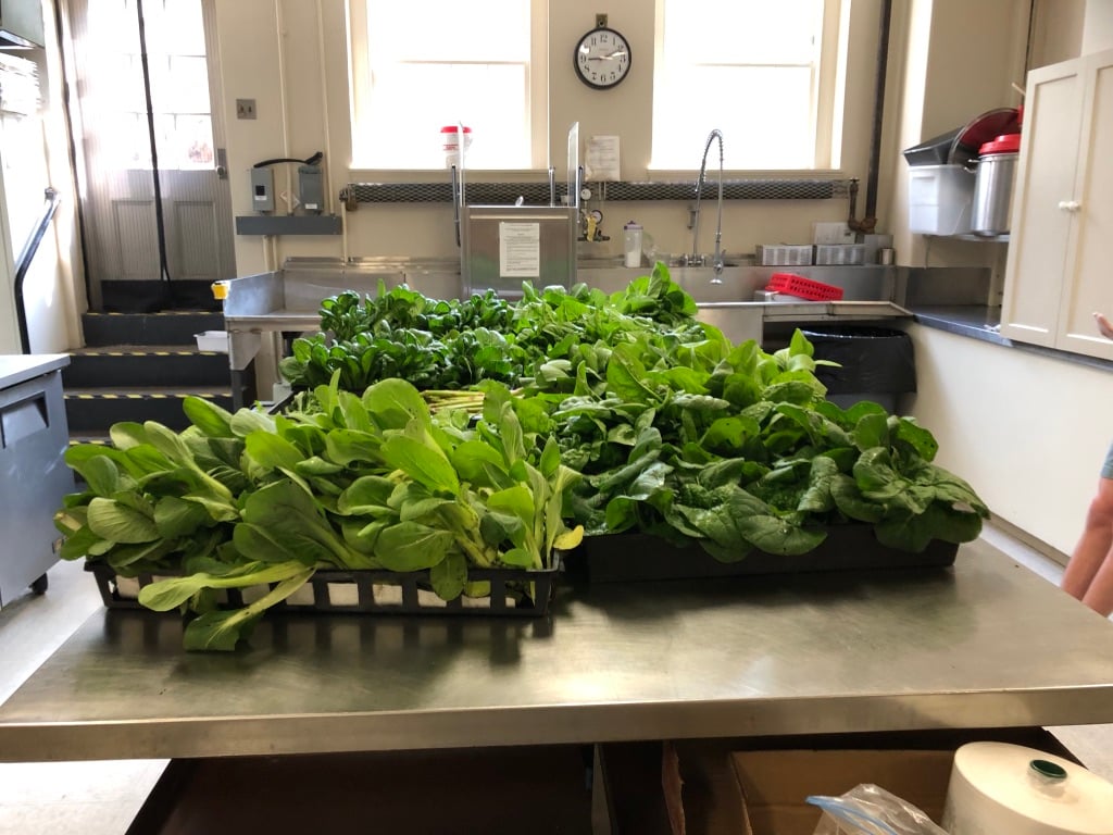 Lexington Food Pantry