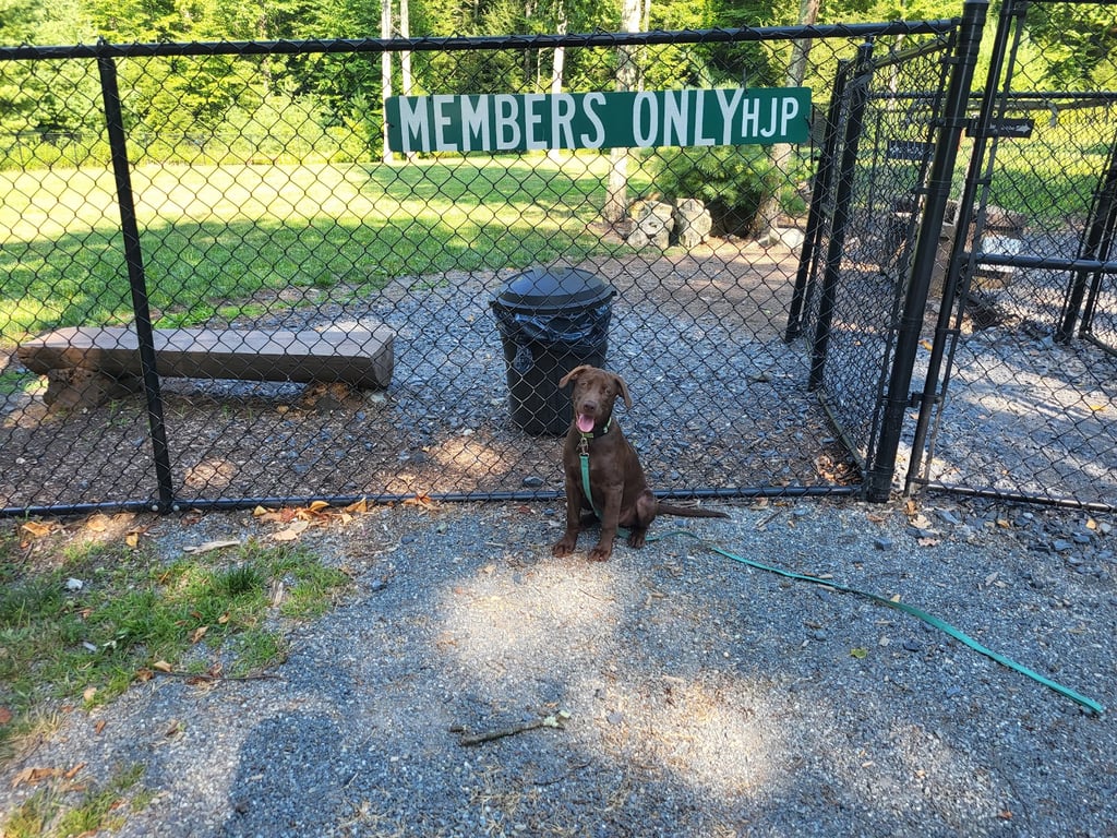 HJP Dog Park
