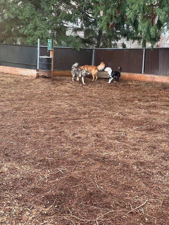 Ash Avenue Dog Park