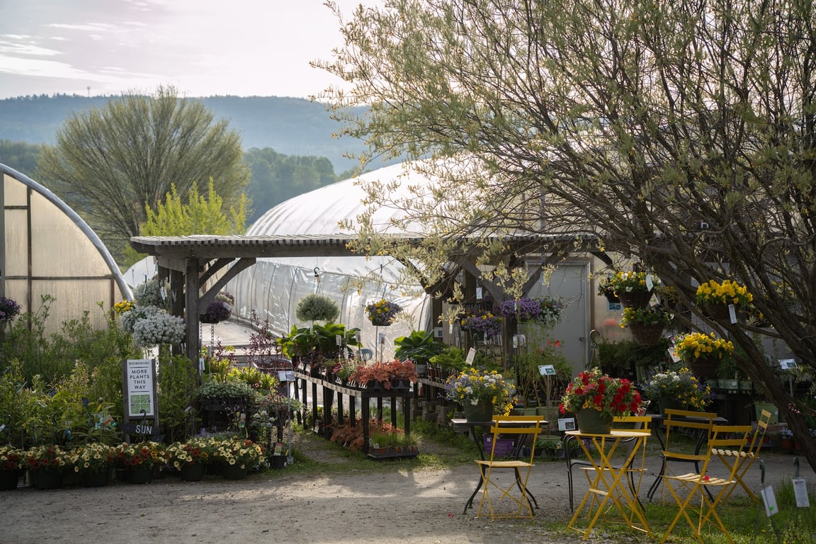 Bake Shop at Red Wagon Plants
