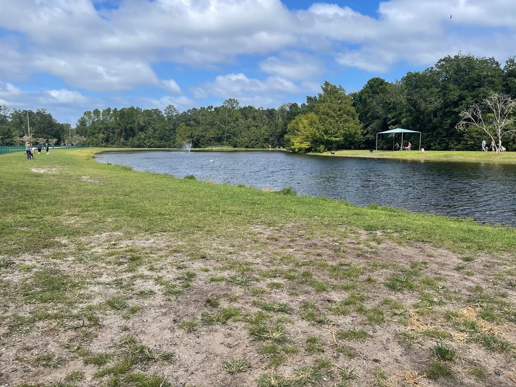 Davis Park Dog Run