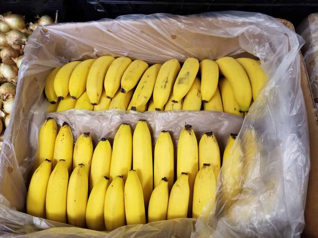 Sheldon Heights CoC Food Pantry