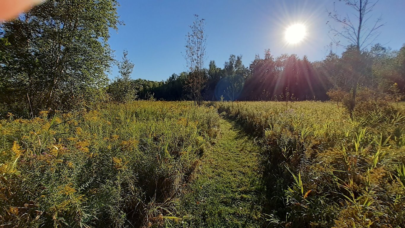Muddy Brook Wetland Reserve