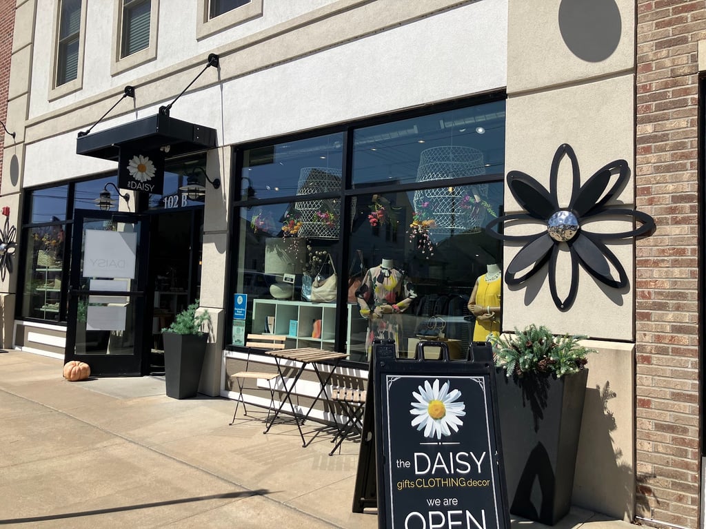 the DAISY