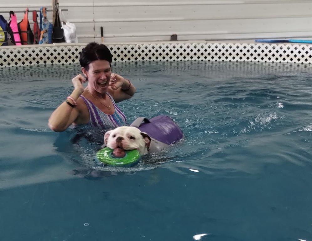 Dog Paddle Beach