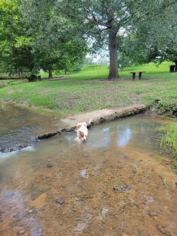 Macon Dog Park