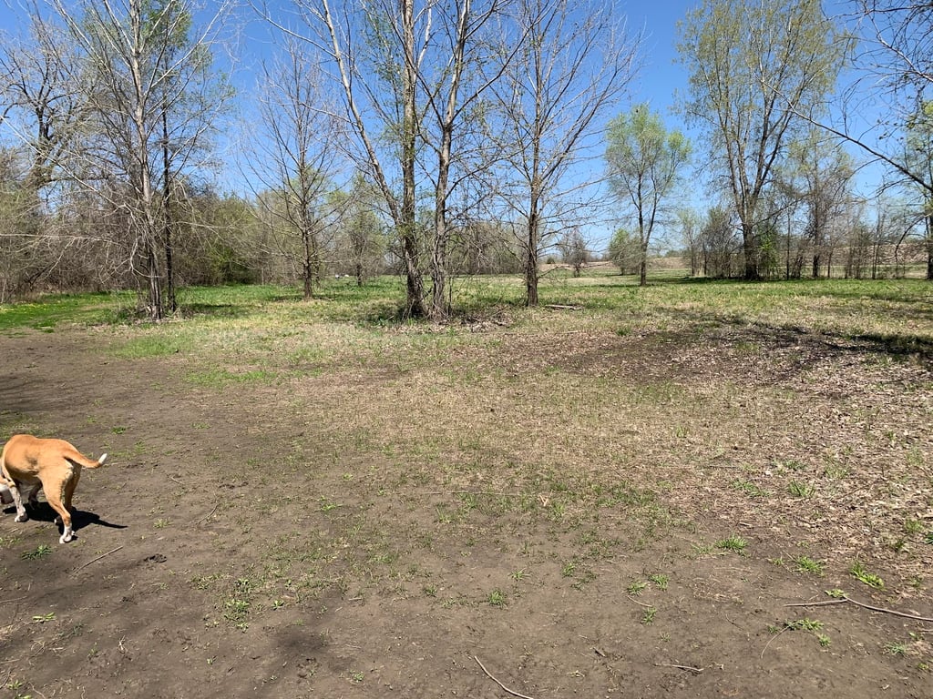OFF-LEASH DOG PARK AT RIVERFRONT PARK