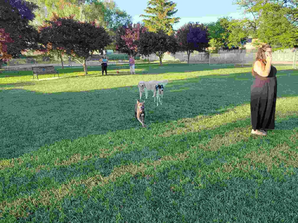 Baxter’s Dog Park