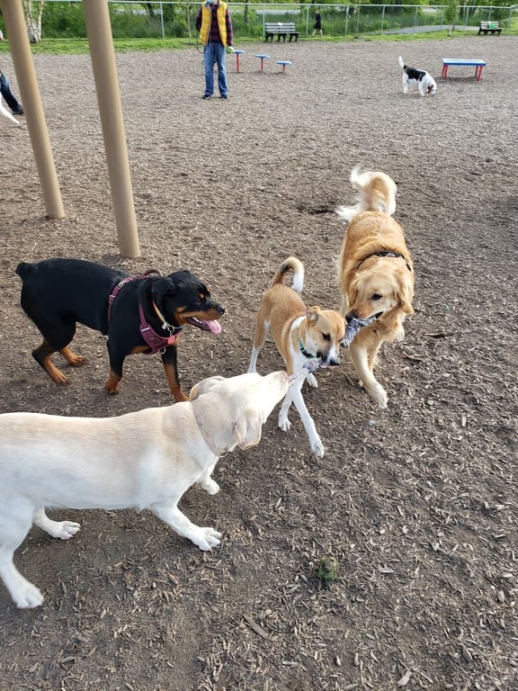 New Castle County Bark Park