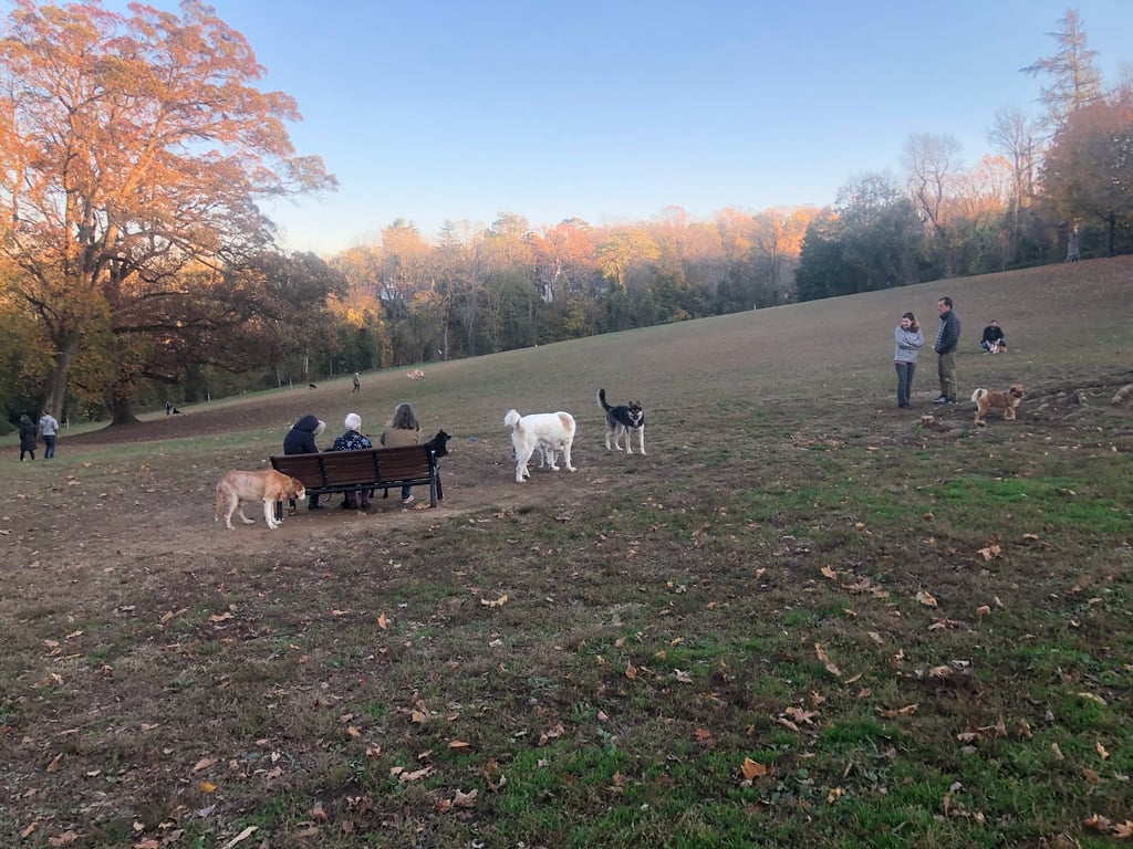 Harford Park