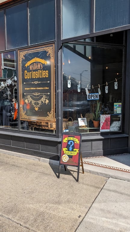 Photo of The Madam’s Curiosities