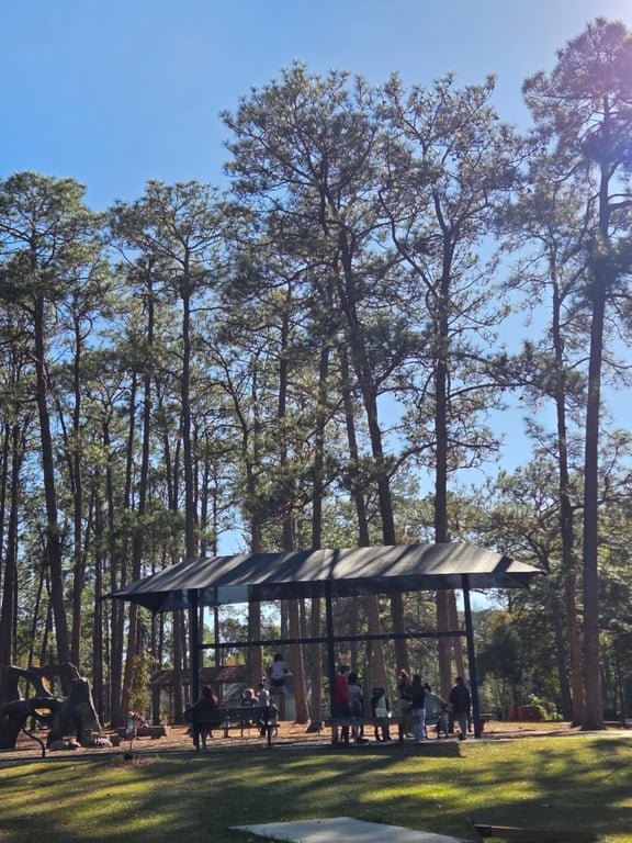 Fulwood City of Tifton Dog Park
