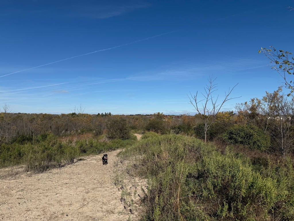 Granville Dog Park