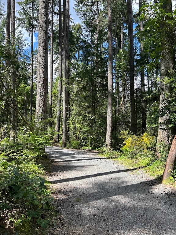 Hounds Hollow Dog Park