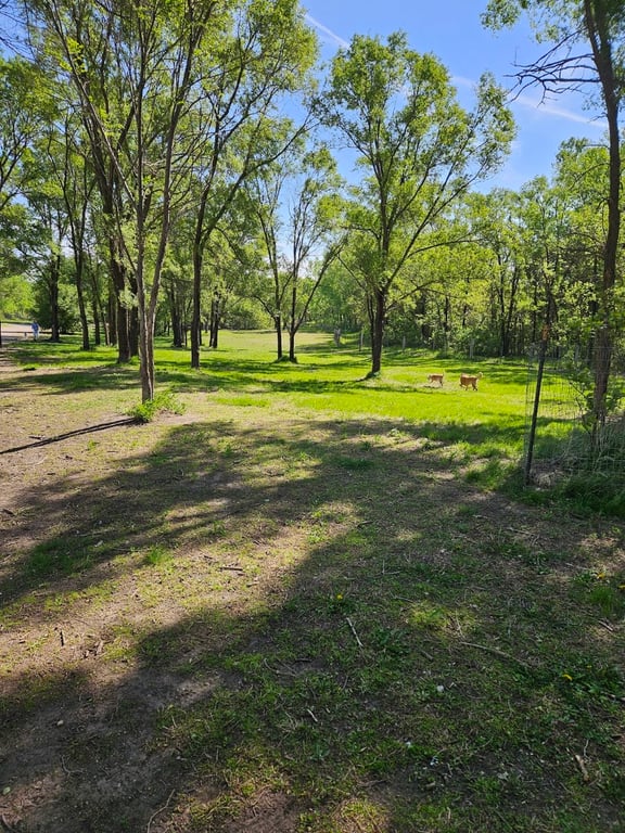 Raccoon River Dog Park